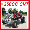 Hot Sale 250cc Gas Powered Golf Carts for Sale